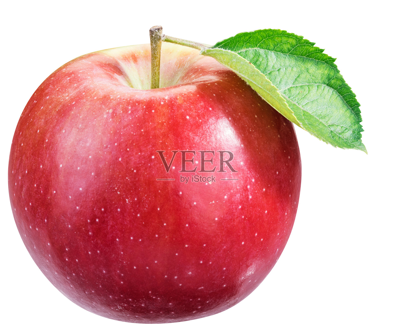 成熟的带叶子的红苹果。照片摄影图片