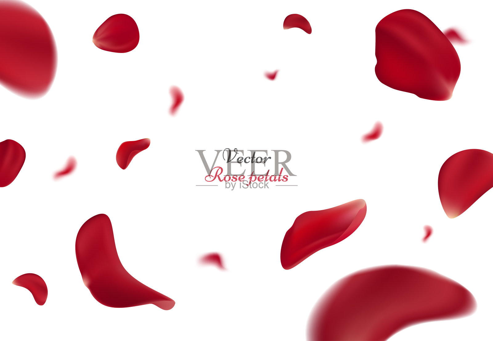 飘落的红玫瑰花瓣孤立在白色的背景上。矢量插画与美丽的玫瑰花瓣，适用于设计贺卡的3月8日和圣瓦伦丁节。每股收益10插画图片素材
