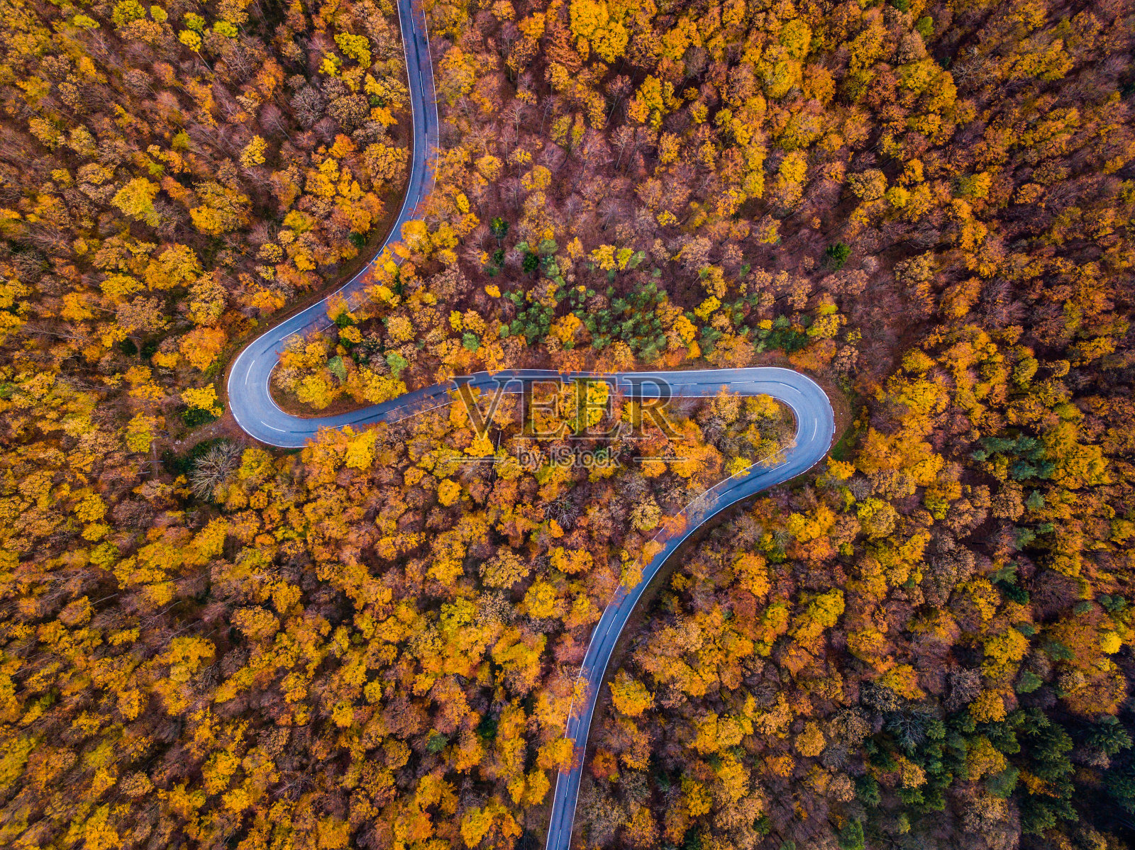 无人机:空中公路之旅-多彩的秋天森林和弯曲的乡村道路照片摄影图片