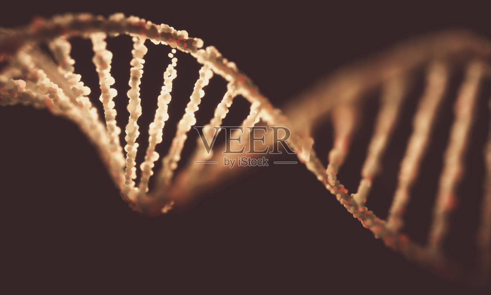 DNA分子结构插画图片素材