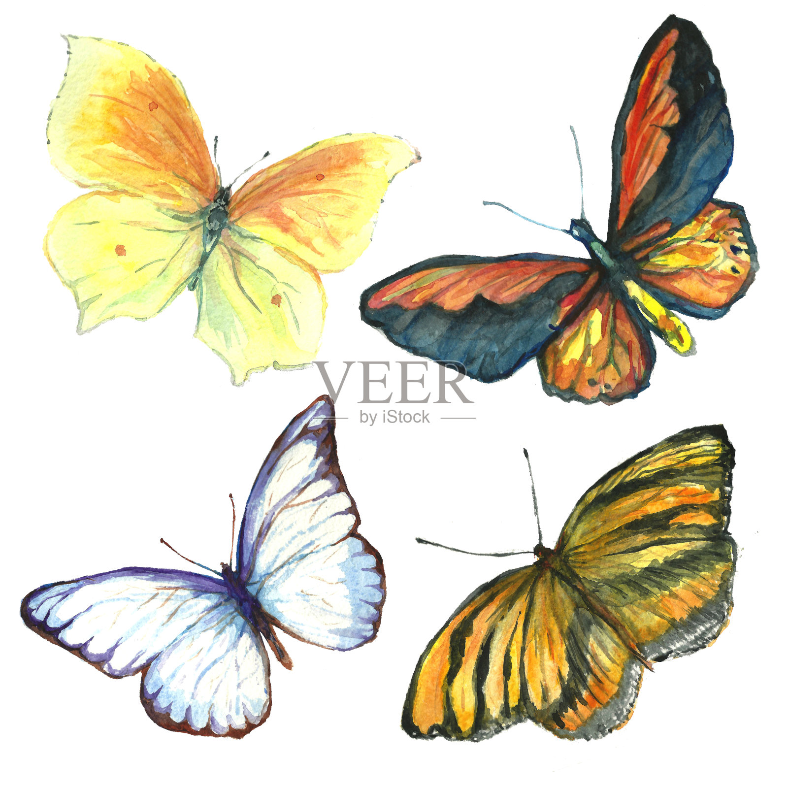 收集蝴蝶水彩画插画图片素材