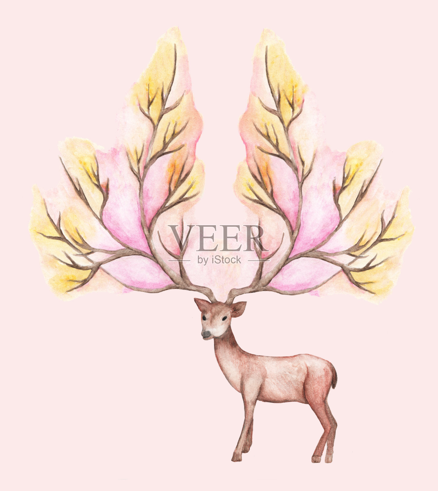 水彩插图孤立的鹿，大鹿角，山树枝插画图片素材