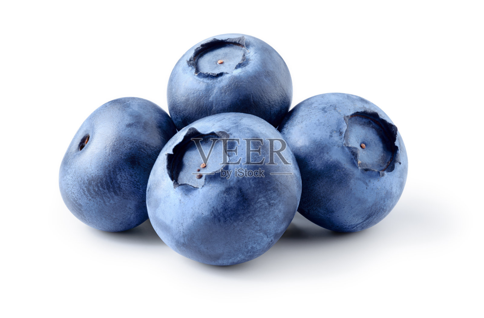 蓝莓孤立。白色背景上的蓝莓。照片摄影图片
