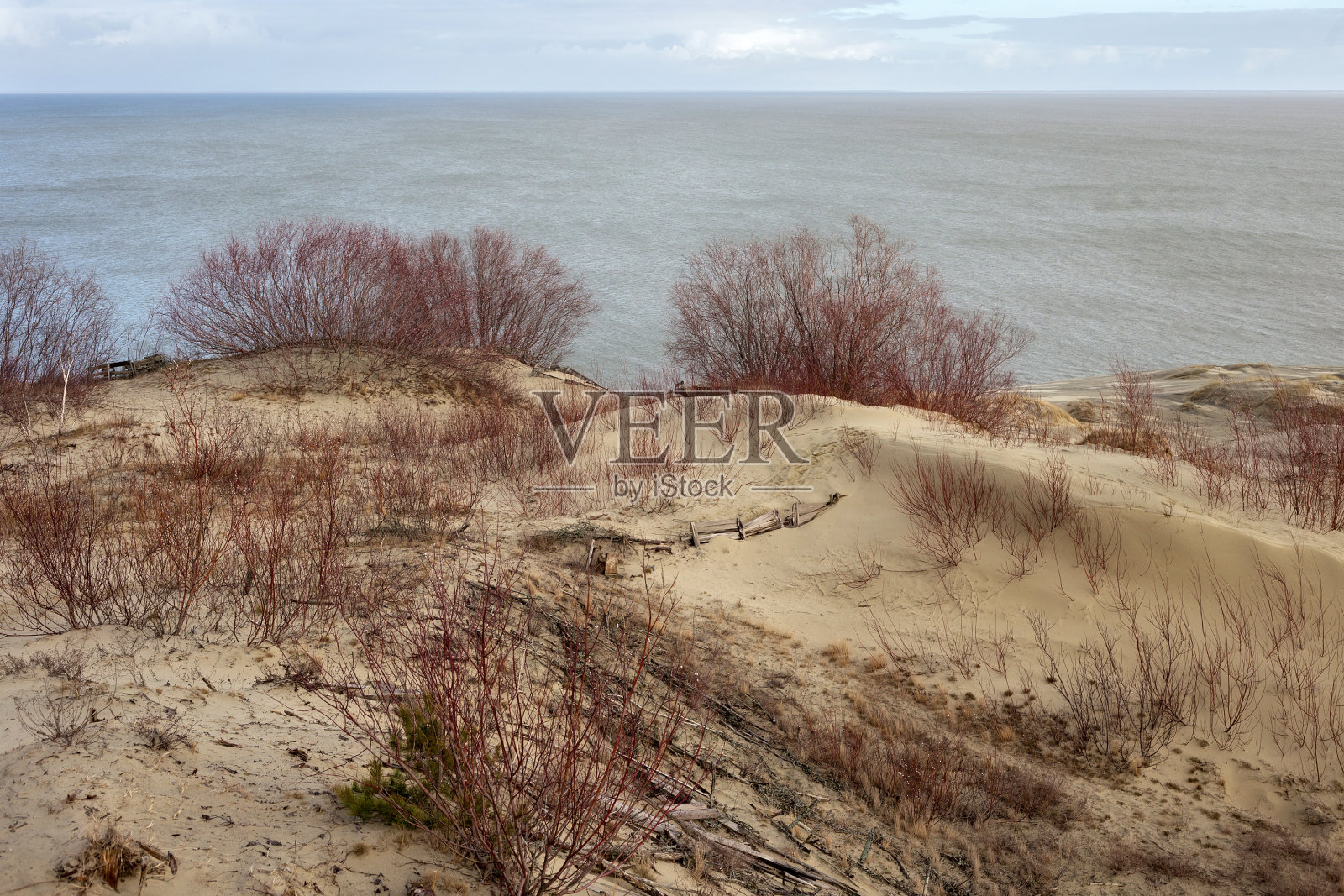 2月份俄罗斯库尔尼沙口部分的沙丘。照片摄影图片