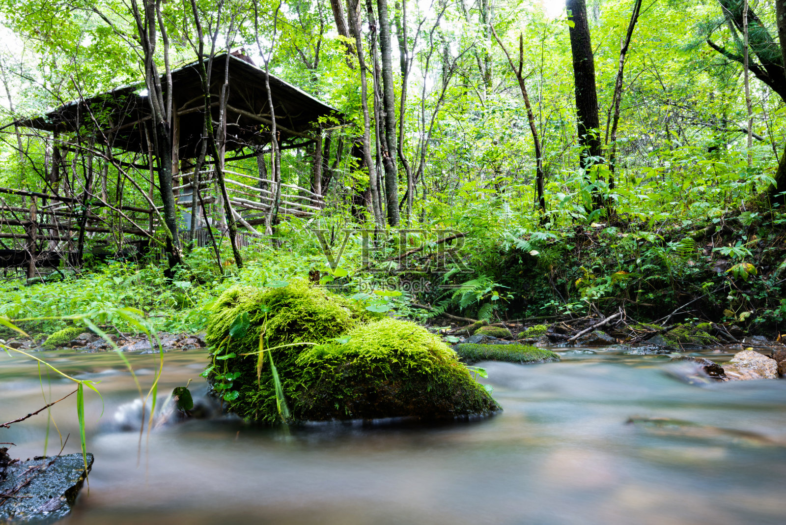 森林河中长满苔藓的岩石照片摄影图片