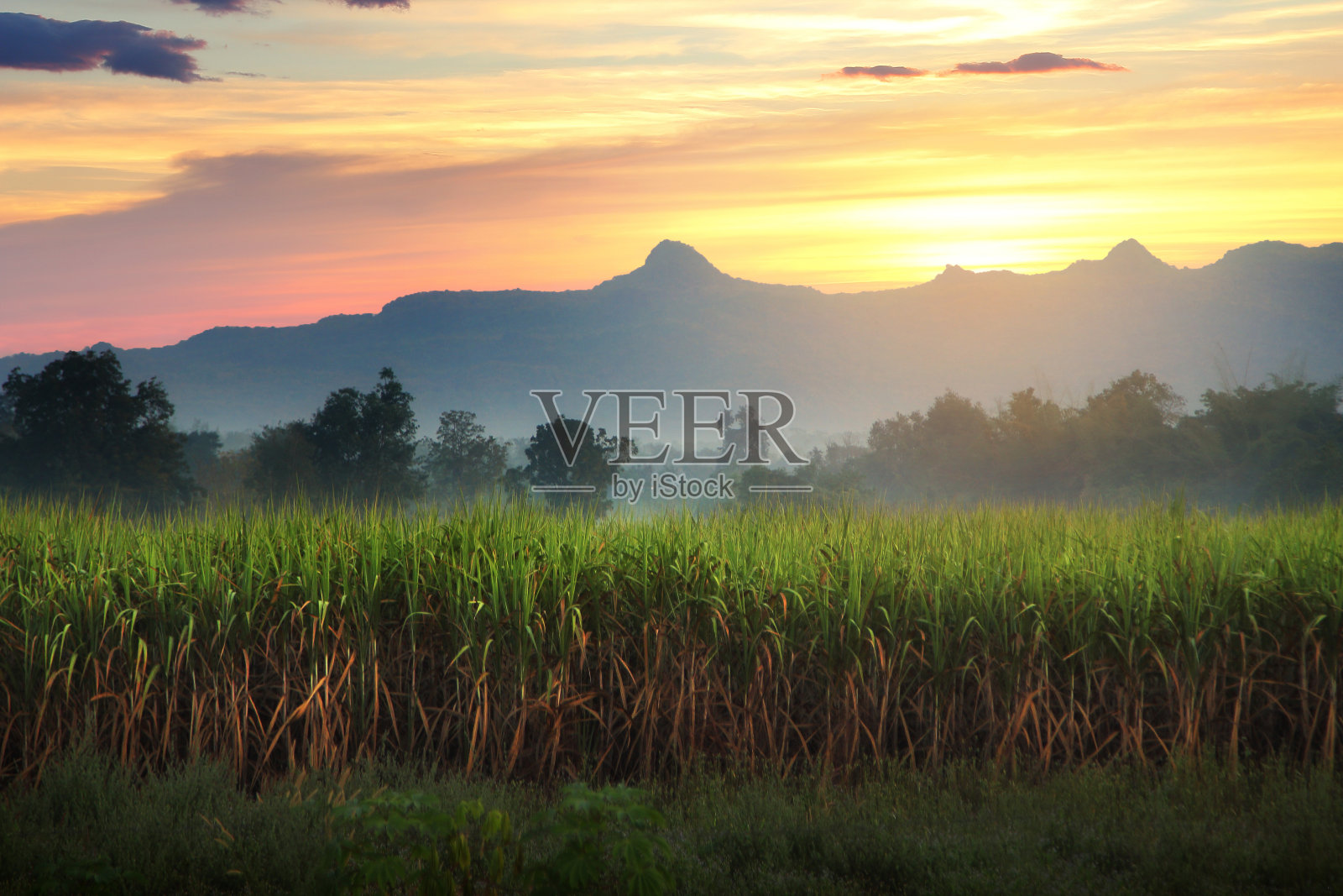 泰国北碧府日出时的甘蔗田和山景照片摄影图片