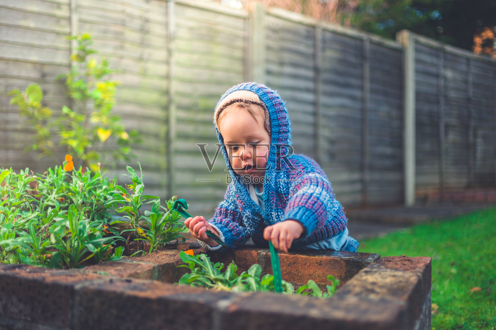 可爱的小婴儿正在做园艺照片摄影图片