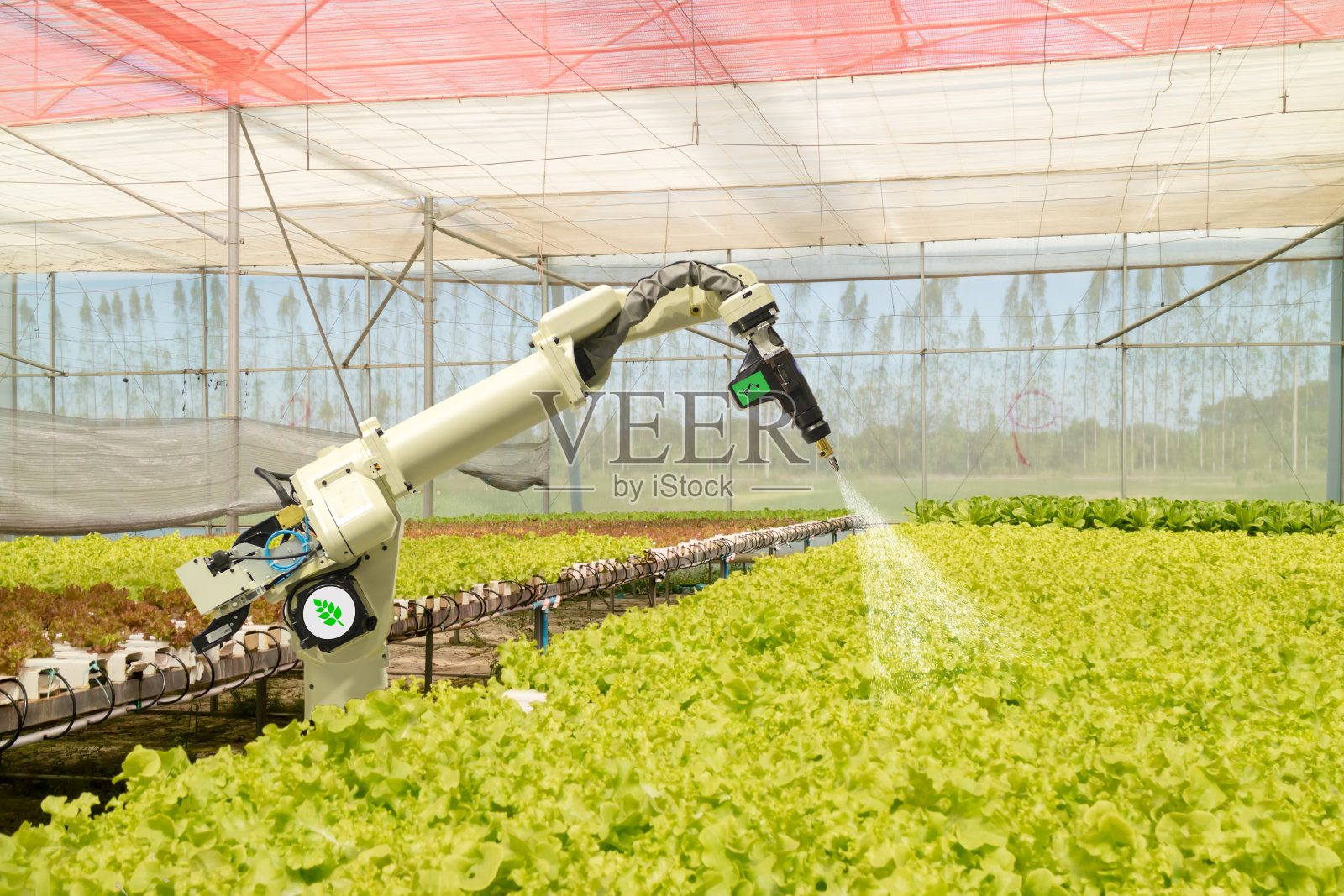 智能机器人在农业的未来概念中，机器人农民(自动化)必须通过编程来喷洒化学药品、化肥或提高效率、种种子、收割、缩短时间照片摄影图片