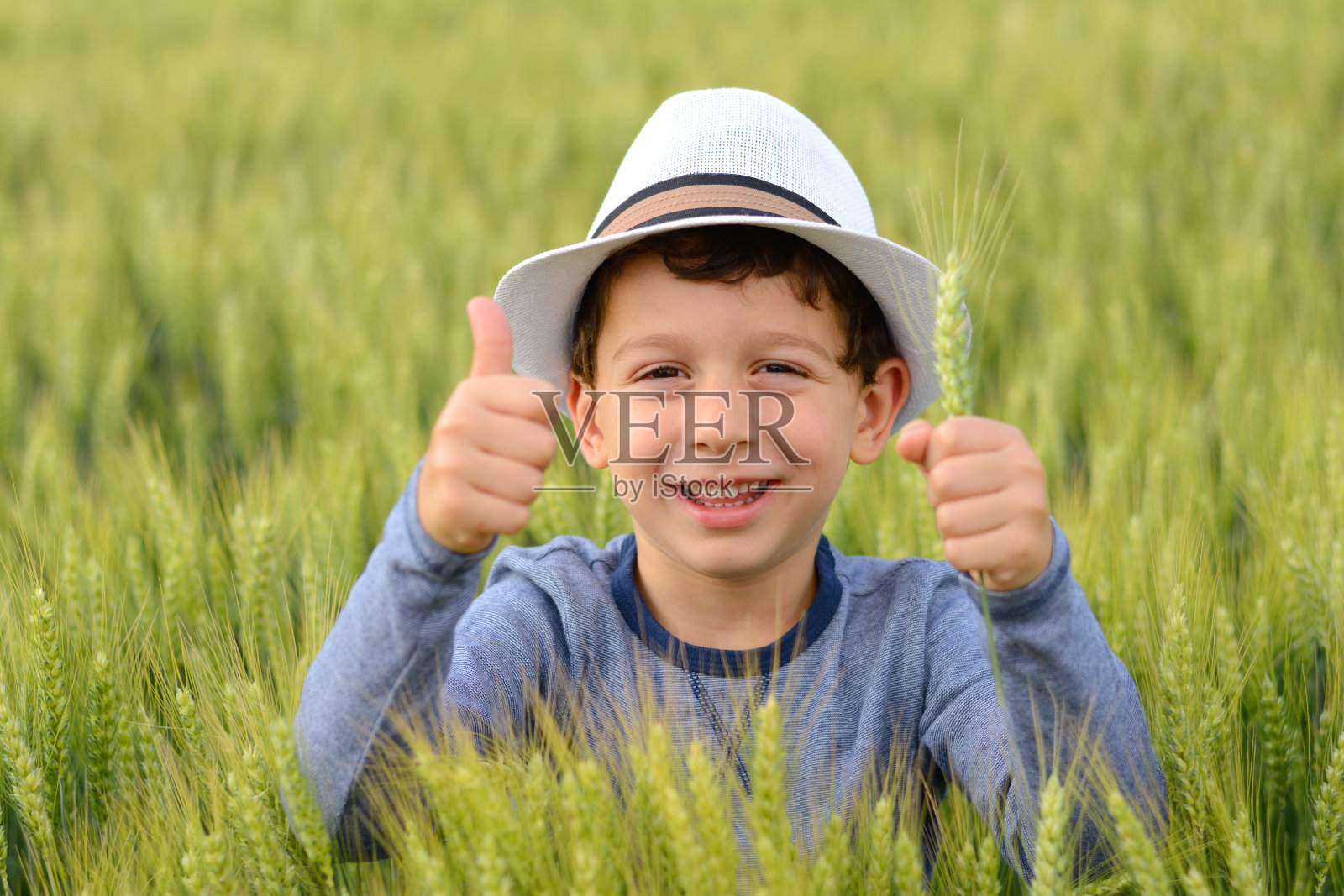 快乐的男孩在小麦显示OK迹象。照片摄影图片