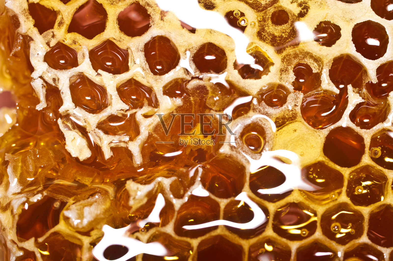 蜂房和蜂蜜的特写。宏照片摄影图片
