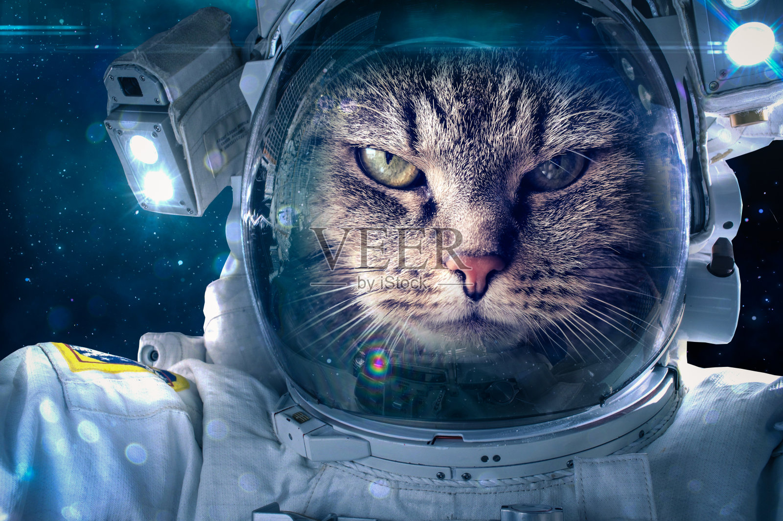 猫在太空照片摄影图片