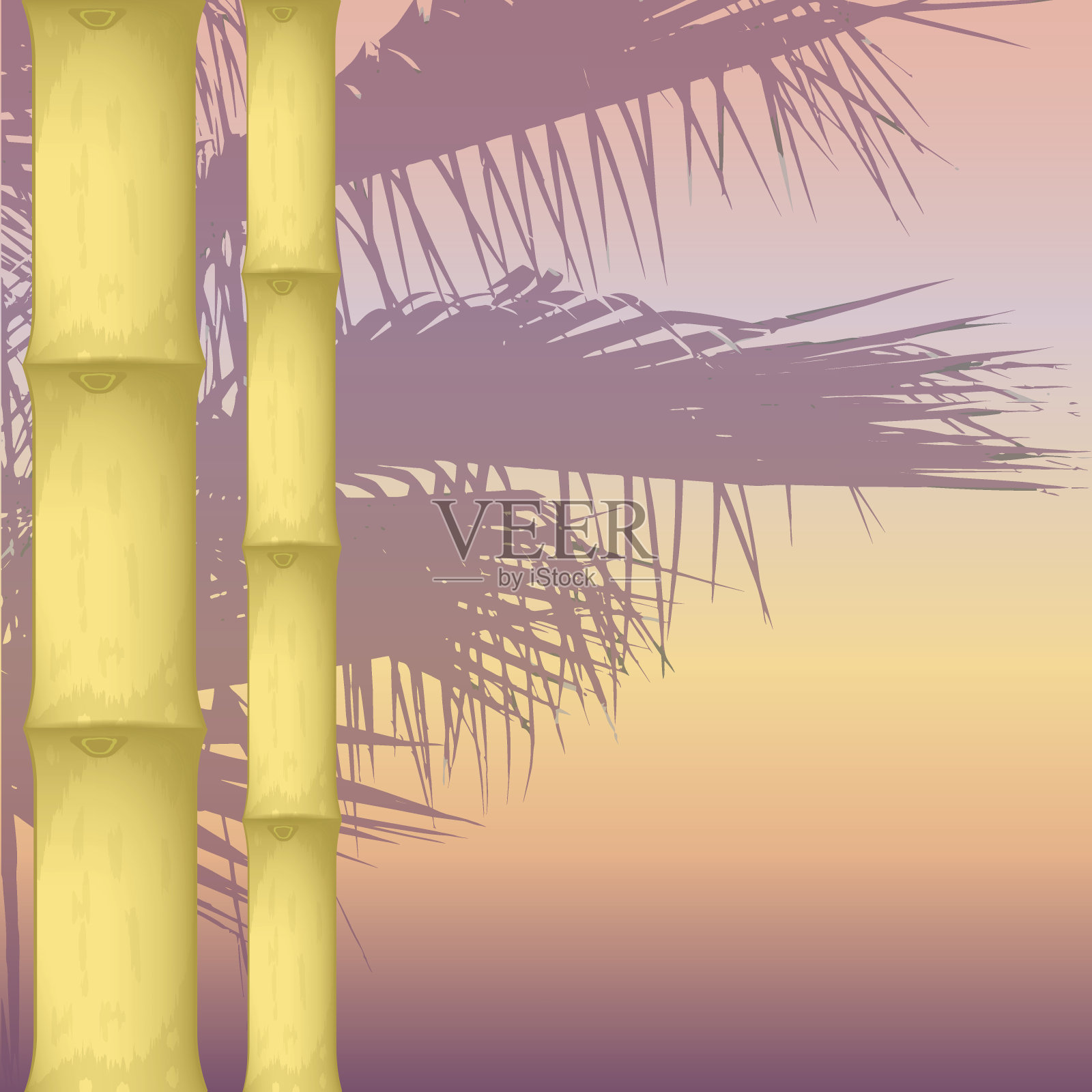 竹子和棕榈树插画图片素材