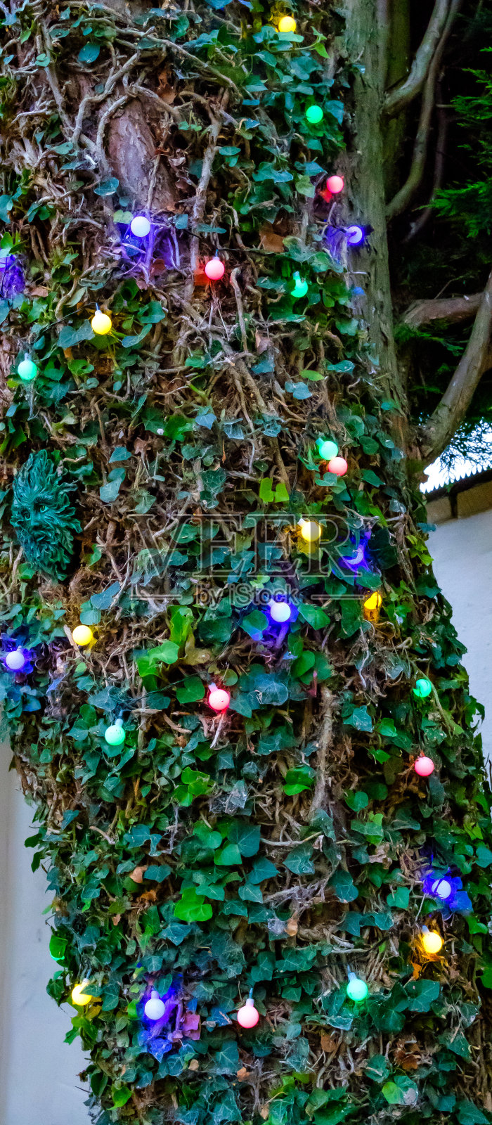 五颜六色的LED灯串在花园里一棵大树的树干上。照片摄影图片