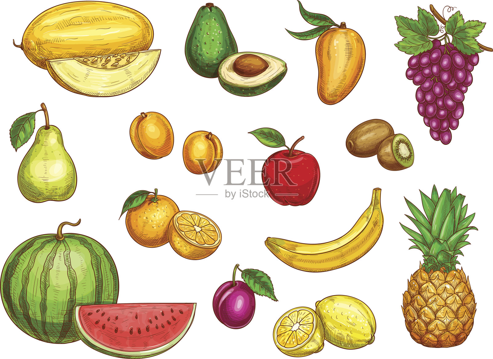 向量异国新鲜水果孤立图标设置插画图片素材