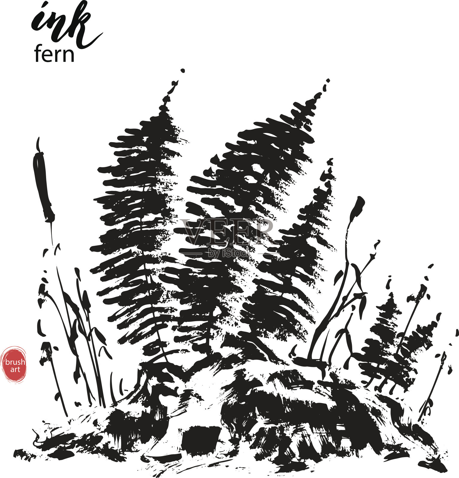 手绘黑色墨水蕨类和草在岩石上。插画图片素材