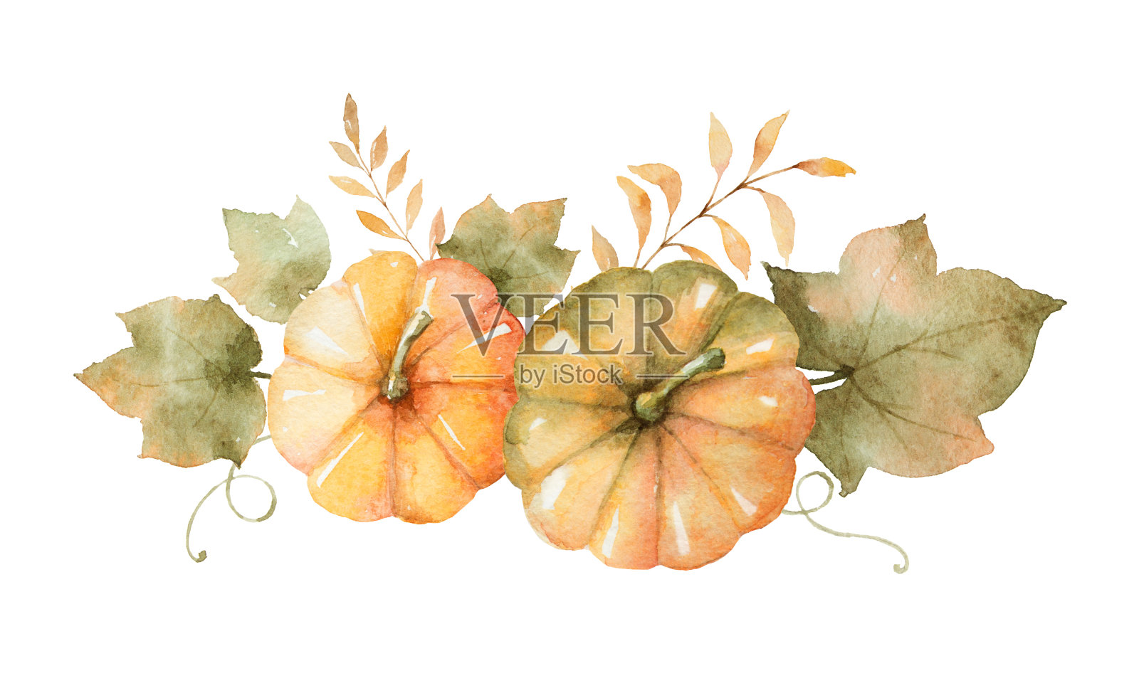 水彩秋天花束的叶子，树枝和南瓜孤立在白色的背景。插画图片素材