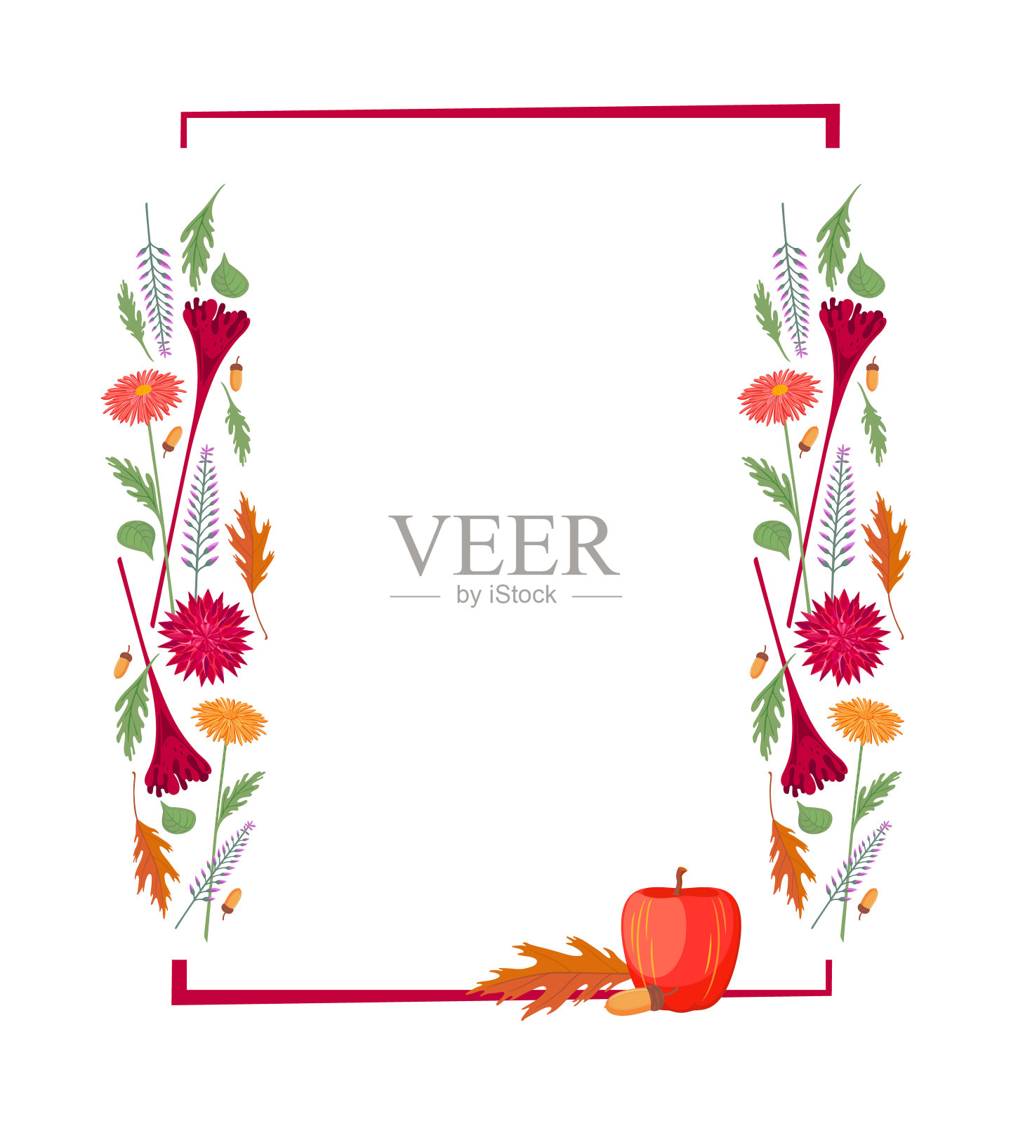 色彩缤纷的集合-秋季几何框架与秋天的花，植物，果实。羊毛花，菊花，大丽花，石南，苹果，橡树叶和橡子，矢量图，孤立的背景。设计元素图片
