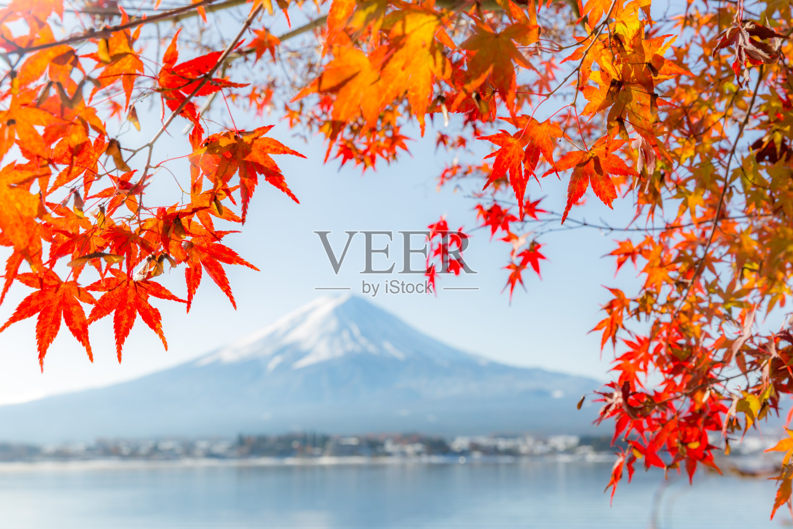 秋天的富士山照片摄影图片