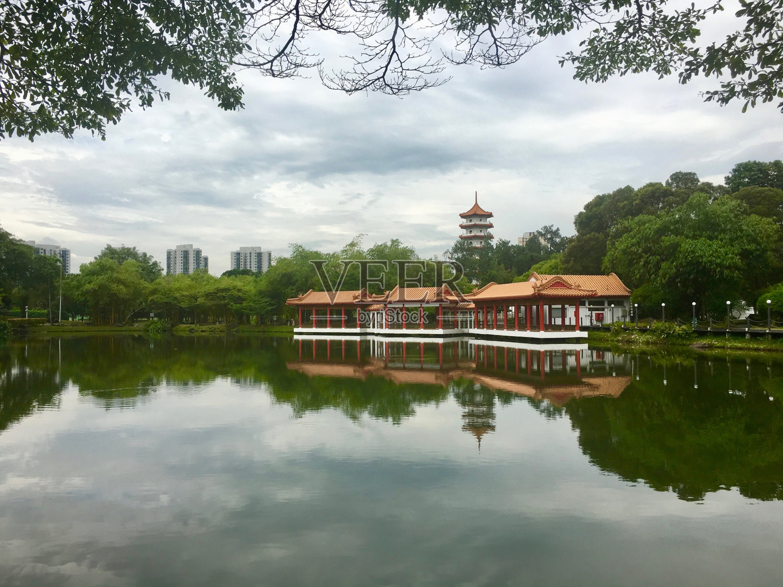 在中国新加坡花园照片摄影图片