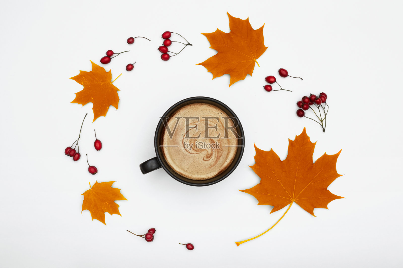 咖啡浆果和秋叶照片摄影图片