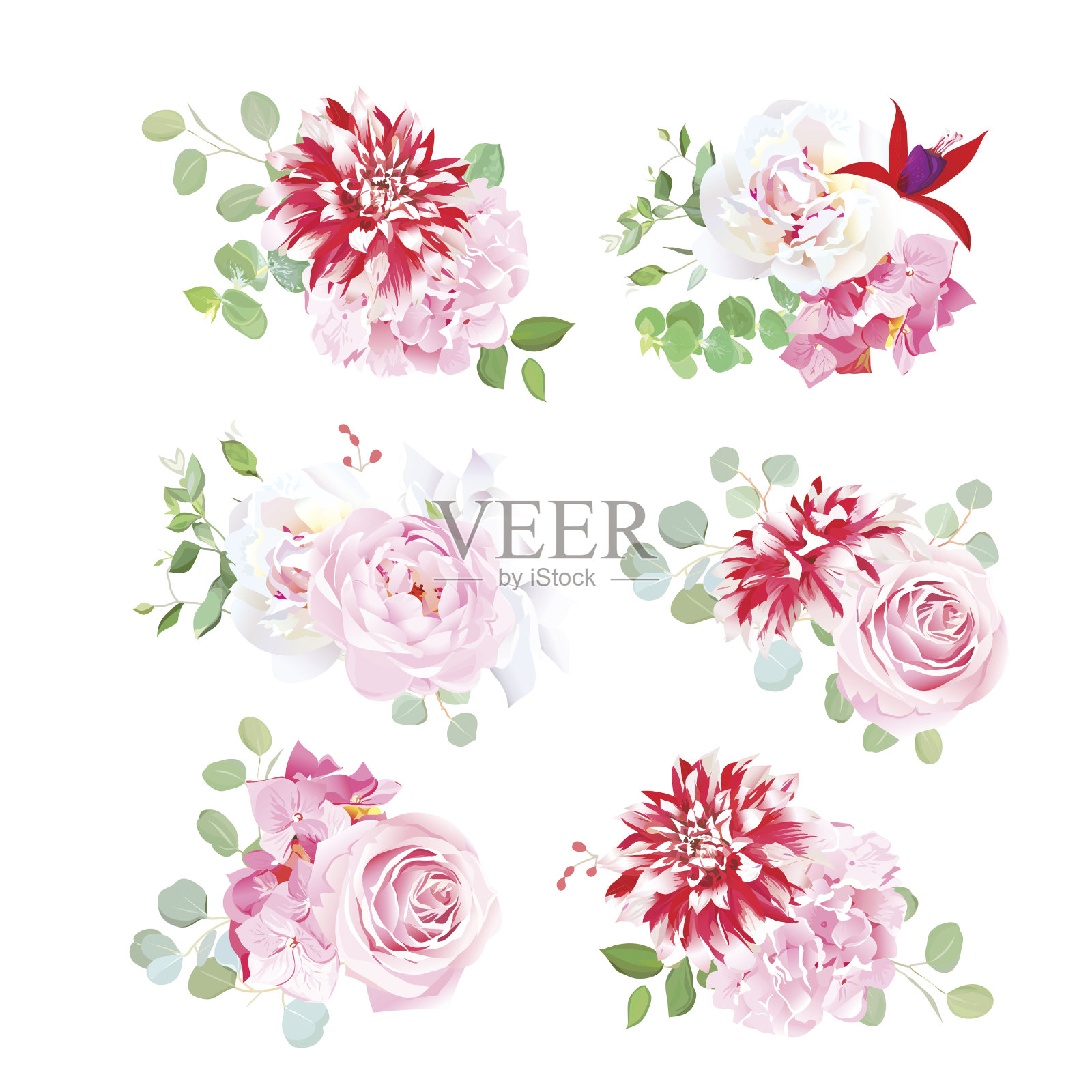 一小束粉色玫瑰，白色牡丹，红色杂色大丽花插画图片素材