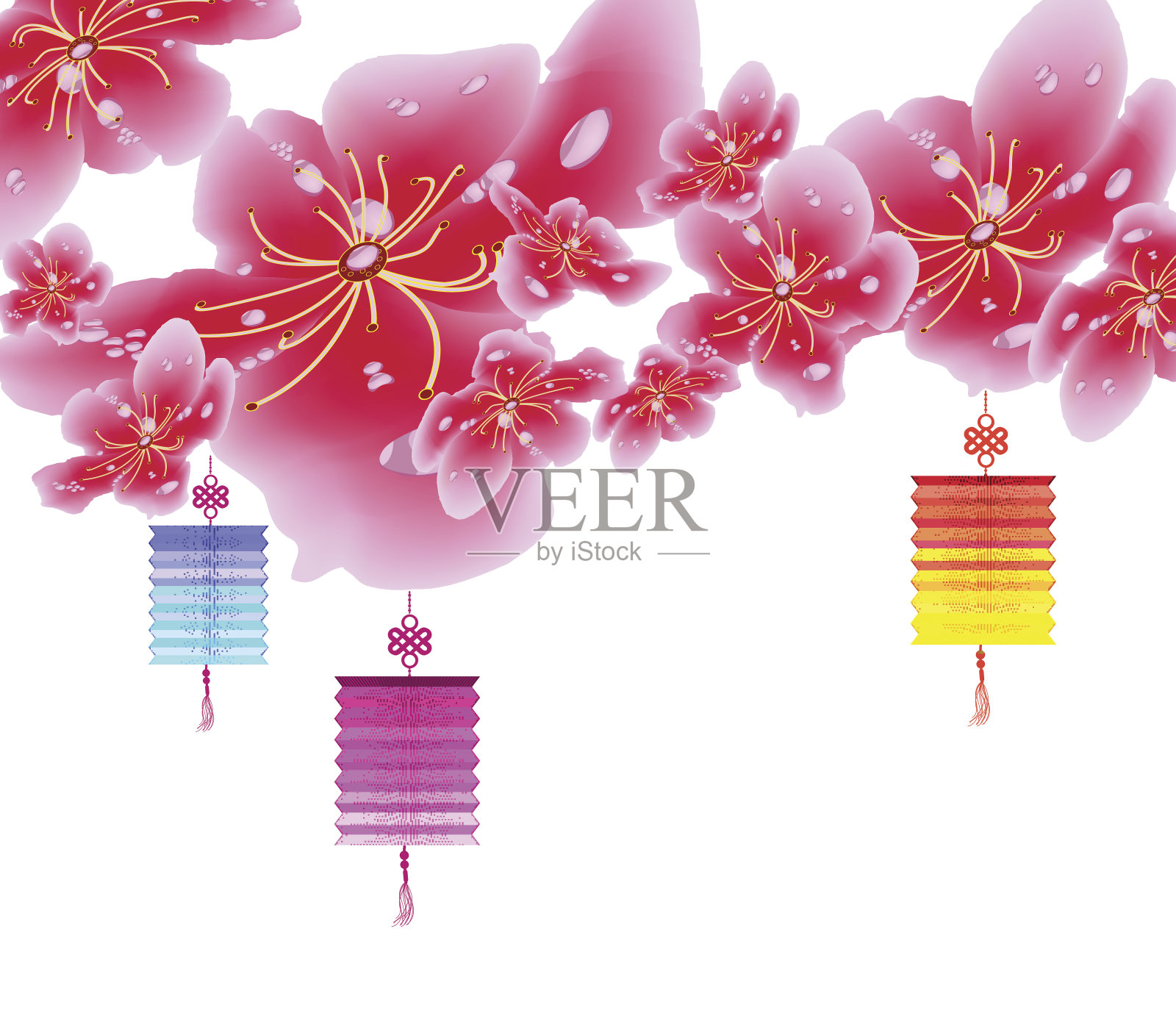 樱花花朵背景。樱花和灯笼孤立的白色背景。中国新年插画图片素材
