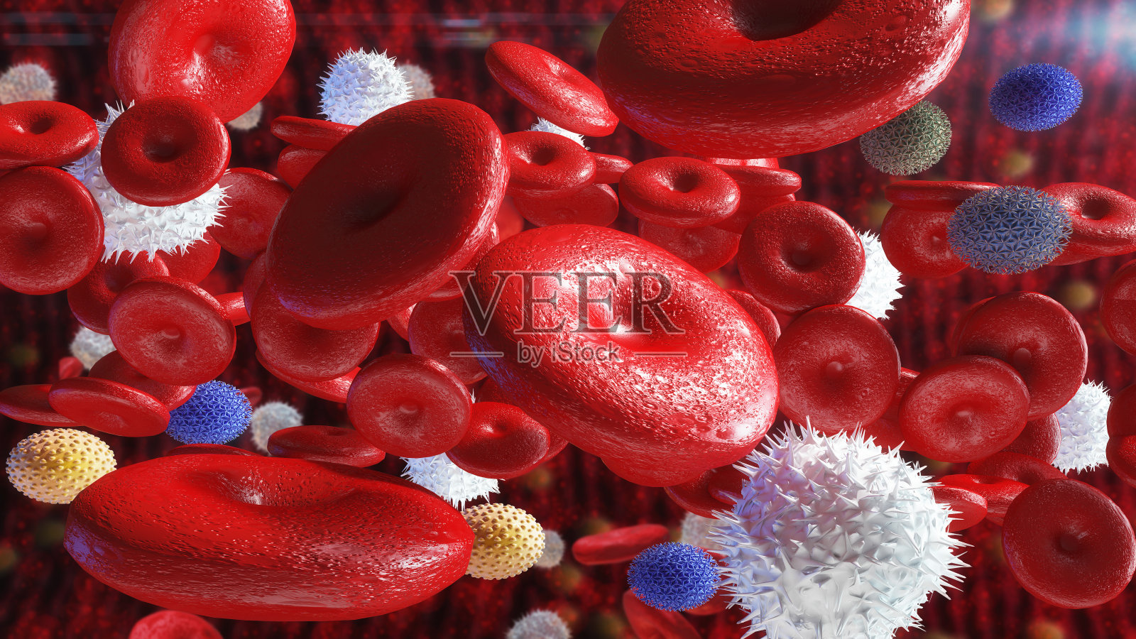 动脉中的红细胞照片摄影图片
