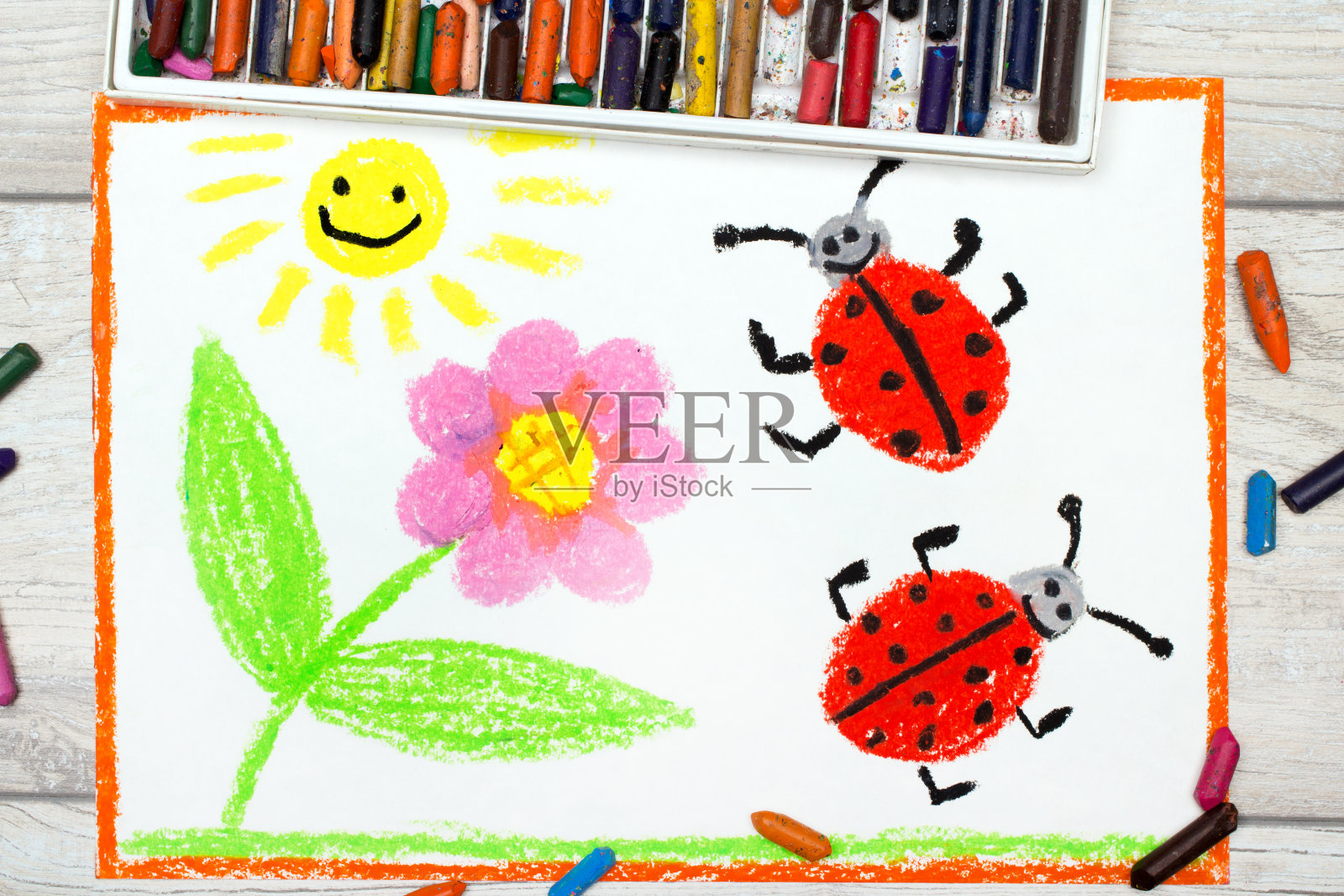 彩色图画照片:花，太阳和瓢虫在白纸背景照片摄影图片