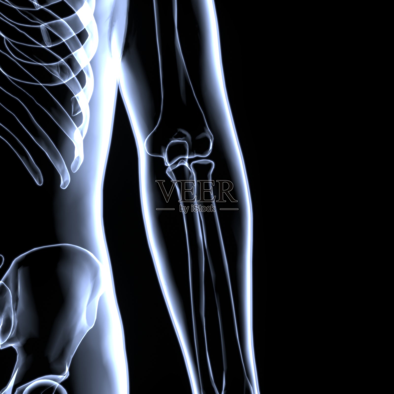 肘关节解剖-详细与循环突出区域疼痛的概念照片摄影图片