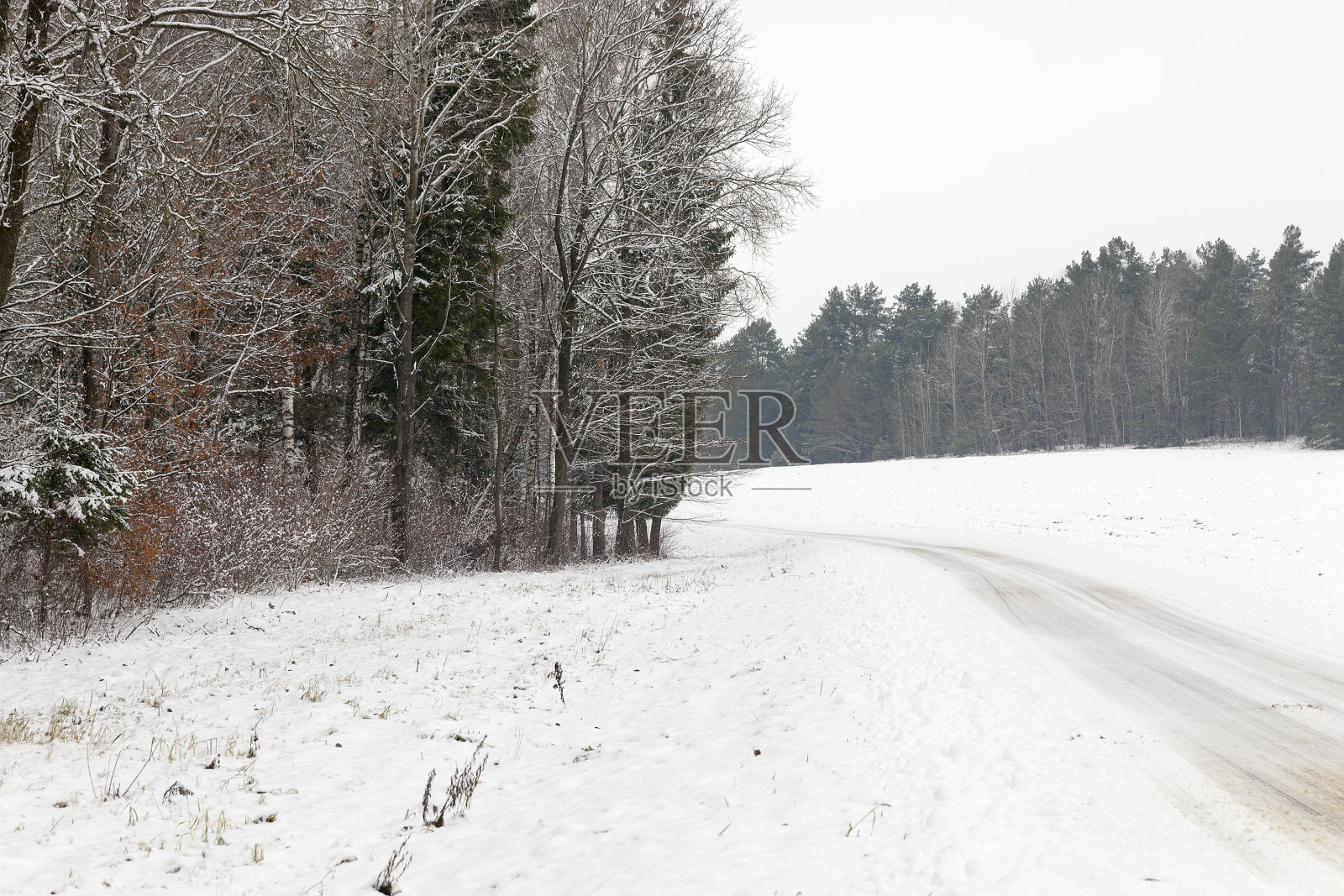 森林里的路被雪覆盖着照片摄影图片