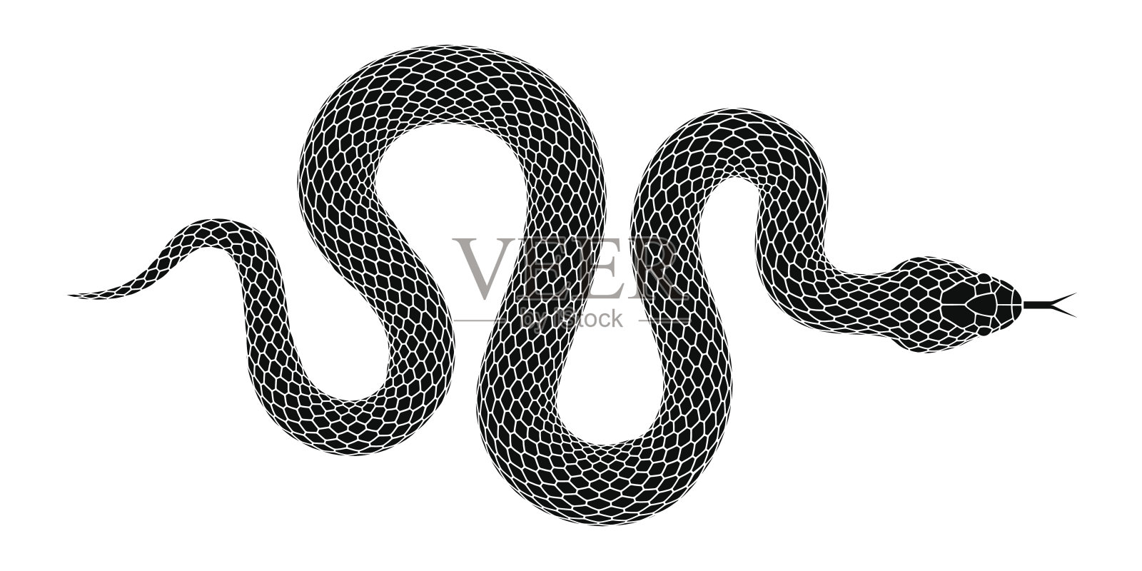 矢量蛇剪影孤立在一个白色的背景。设计元素图片