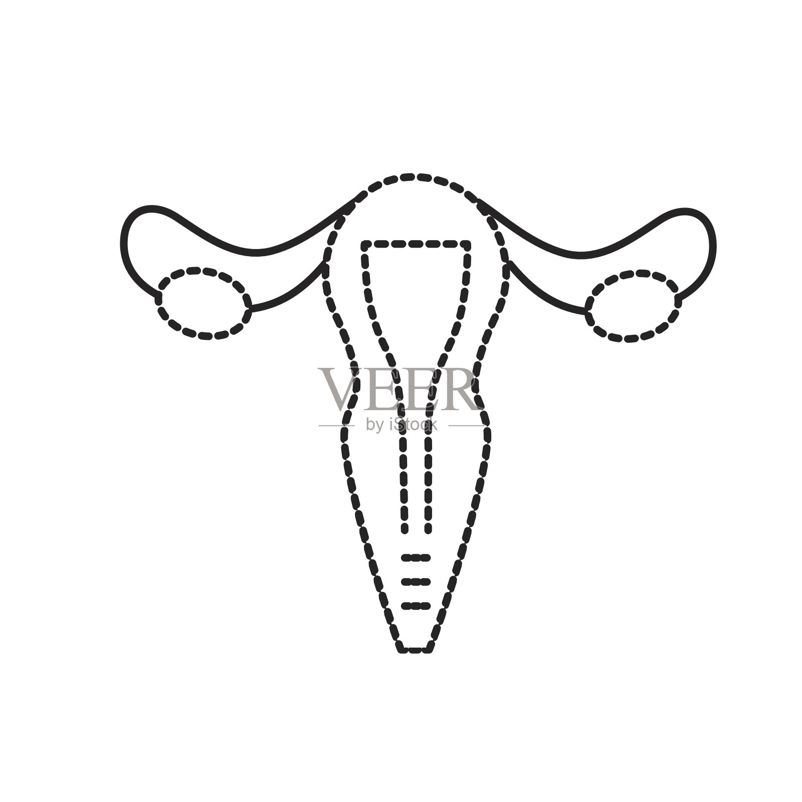 女性生殖系统解剖学各器官位置示意图子宫、子宫颈、卵巢、输卵管。妇女的健康。矢量插图。插画图片素材_ID:422300788-Veer图库