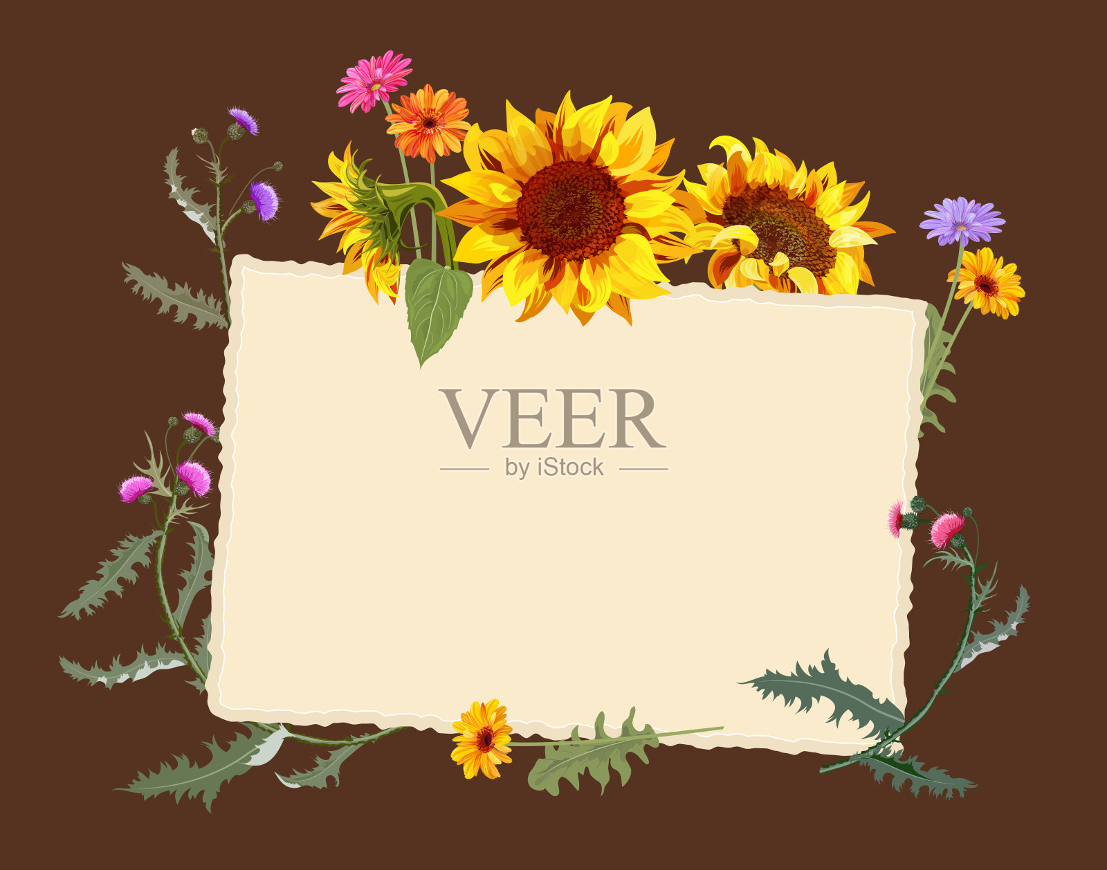 秋季vintage框架:黄色向日葵，非洲菊雏菊花，紫色蓟在深棕色的背景。数字绘制，插图水彩风格，模型，模板设计，矢量插画图片素材