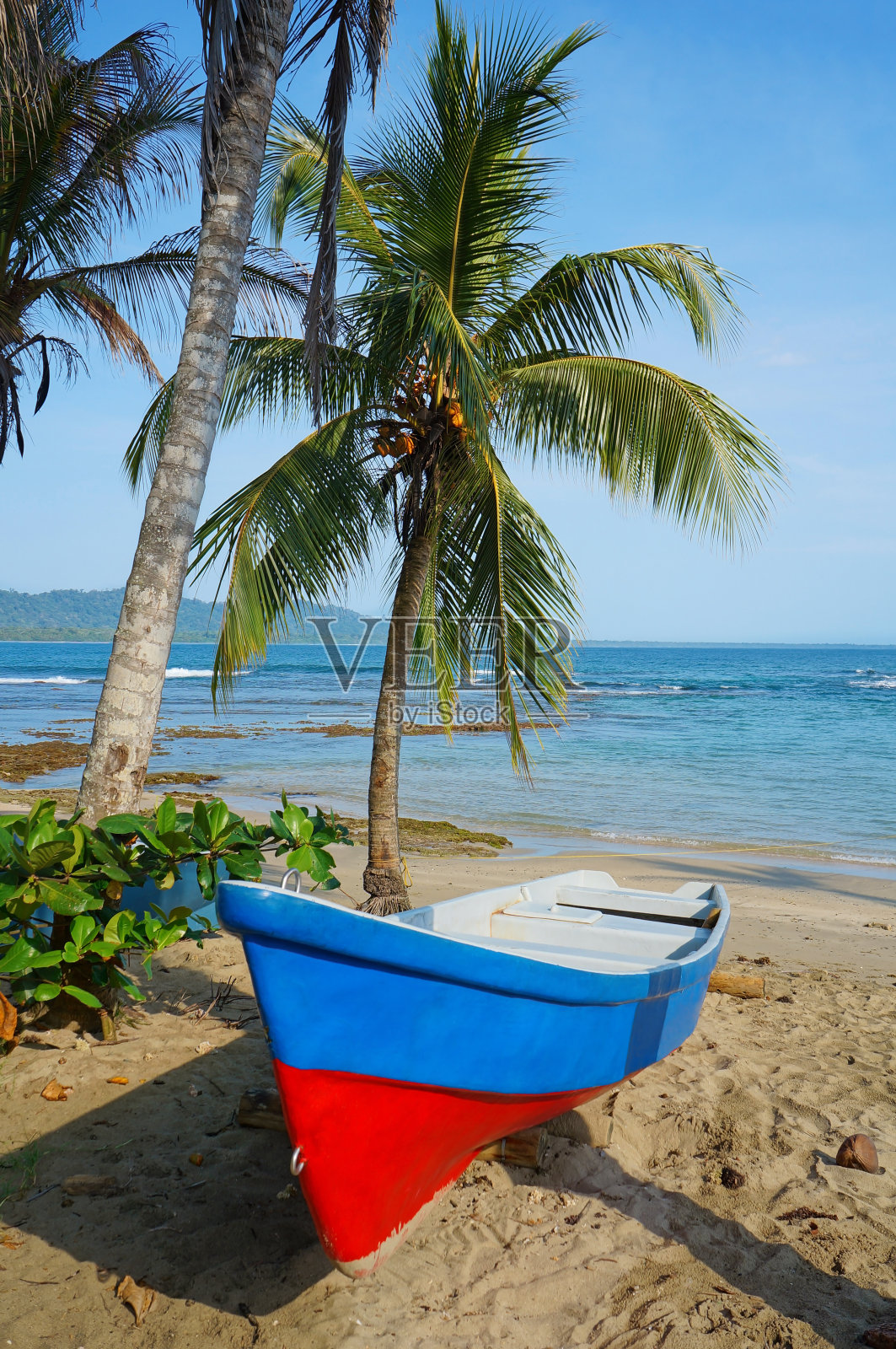 在有椰子树的热带海滩上划船照片摄影图片
