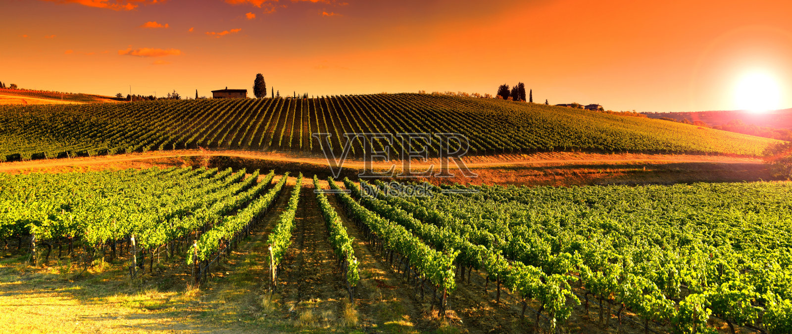 葡萄园日落附近的村庄勒西西在托斯卡纳地区。基安蒂红葡萄酒,意大利。照片摄影图片