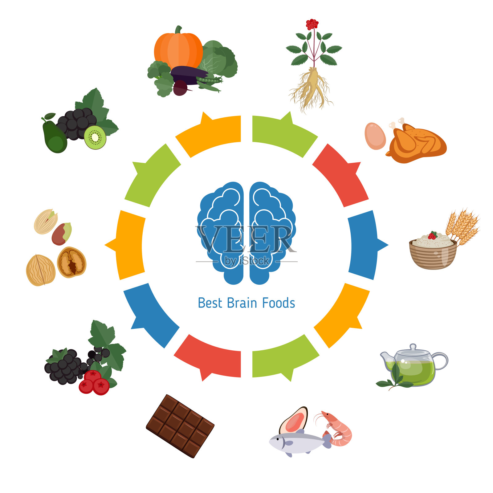大脑的食物信息图插画图片素材