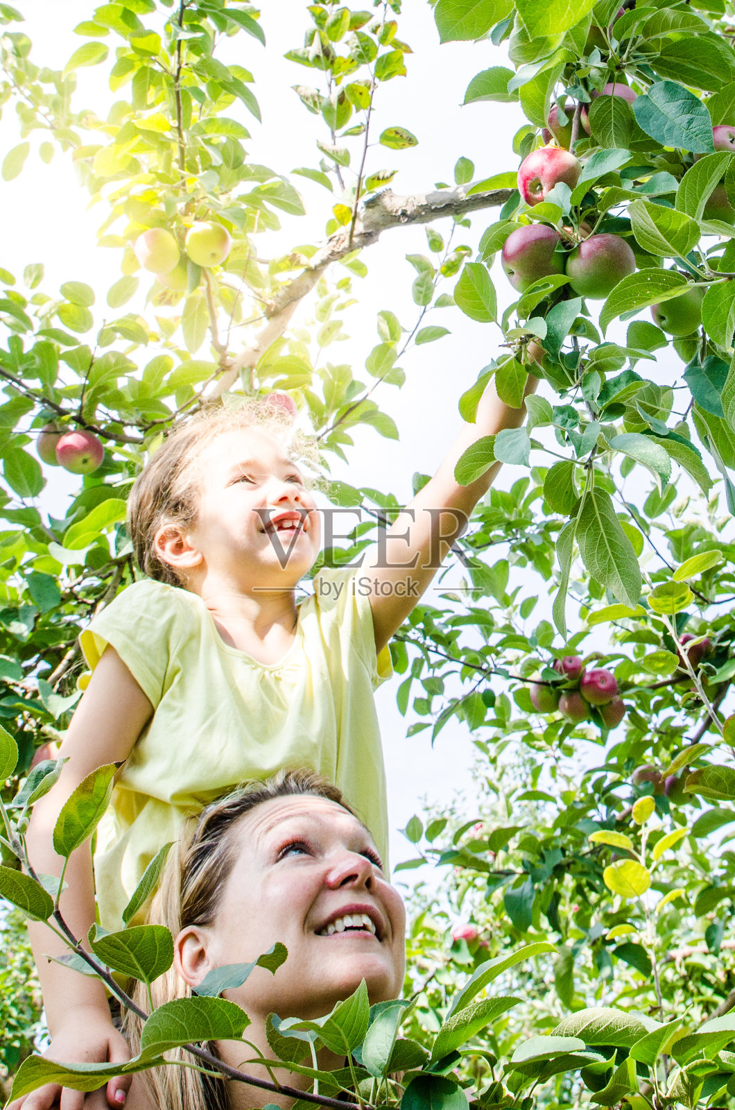 秋天的一天，年轻的女孩在妈妈的肩膀上摘苹果树照片摄影图片
