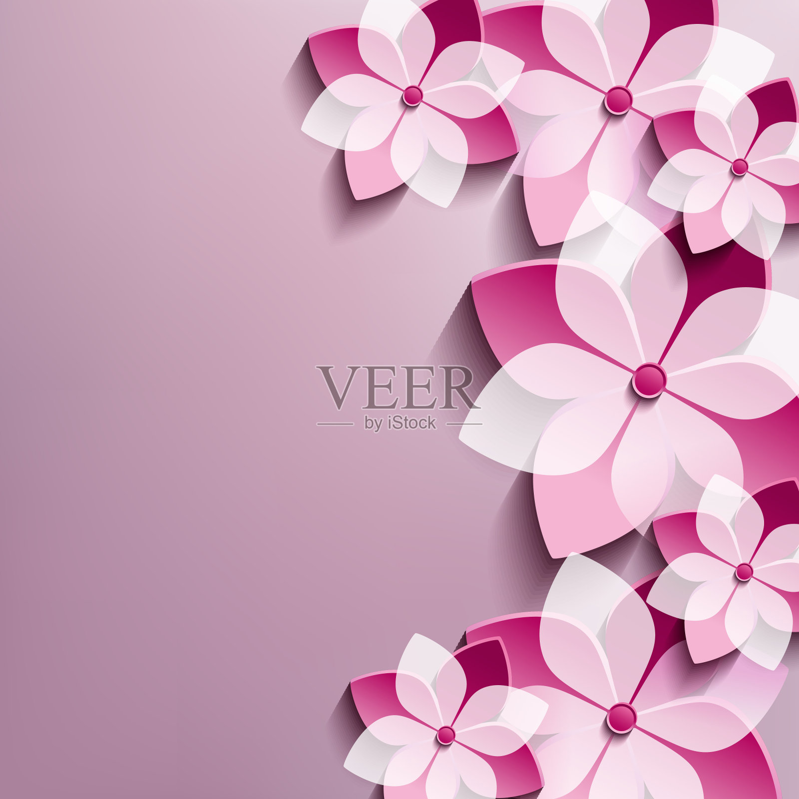 花卉节日背景与粉红色的3d花樱花插画图片素材