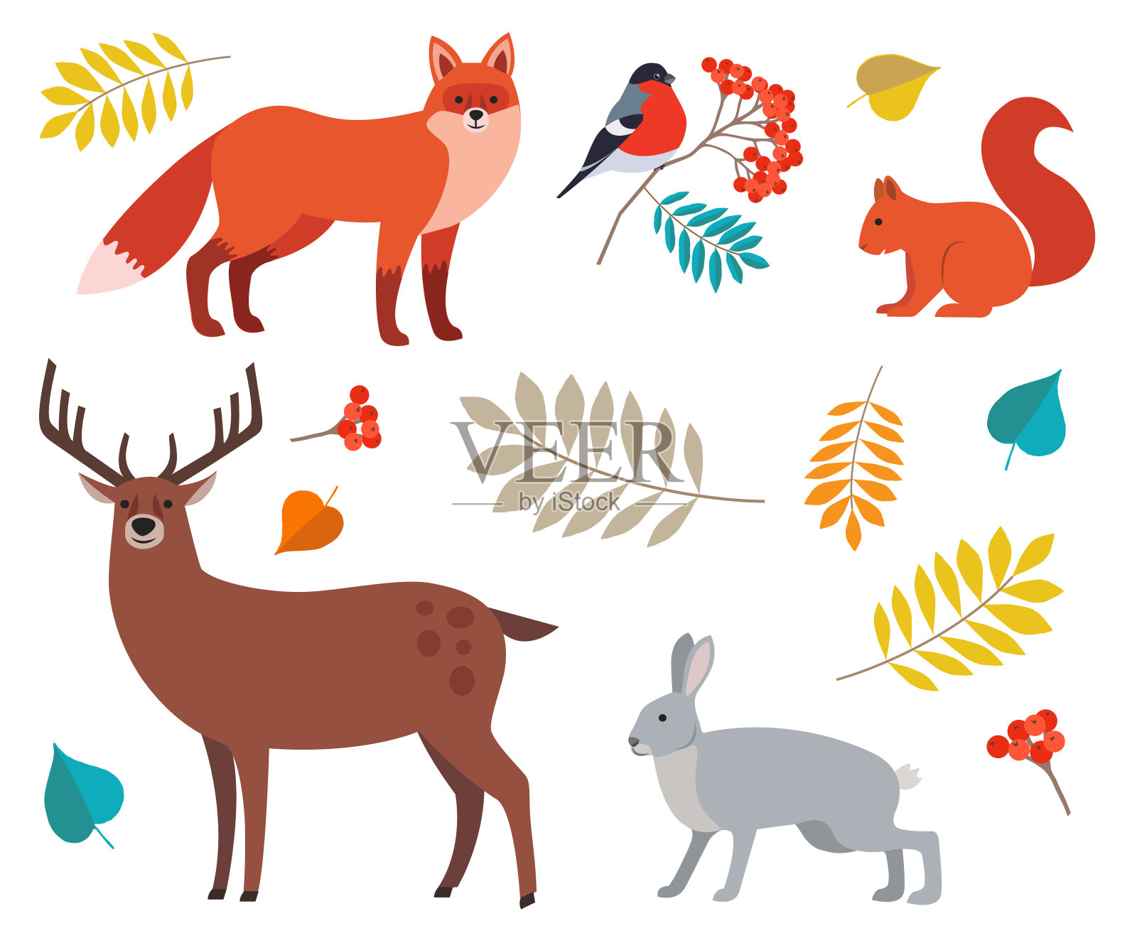 森林动植物组:狐狸，鹿，狼，野兔，松鼠，红腹灰雀在花梨枝和秋叶孤立在白色的背景。插画图片素材