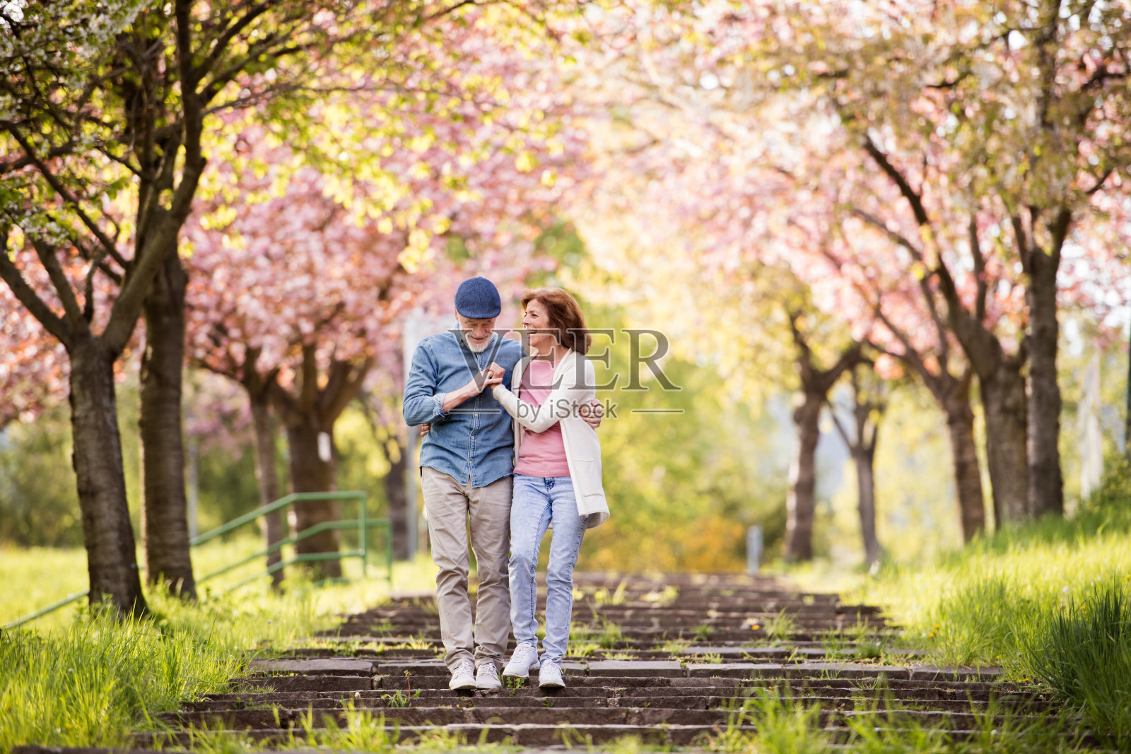 一对美丽的老年夫妇在春天的大自然中相爱。照片摄影图片