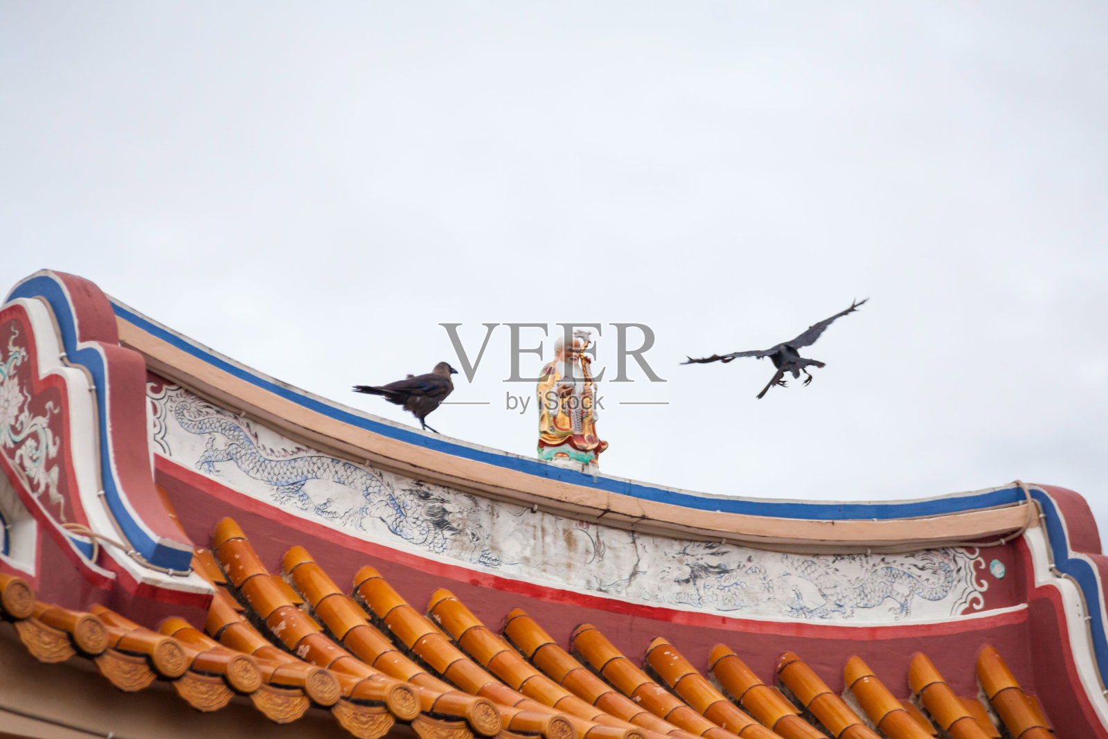 中国寺庙屋顶上的真鸟照片摄影图片