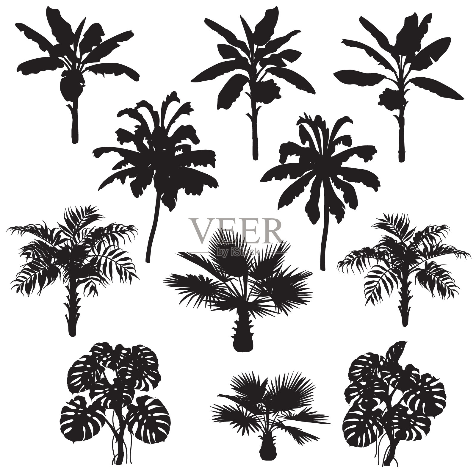 热带植物剪影集设计元素图片