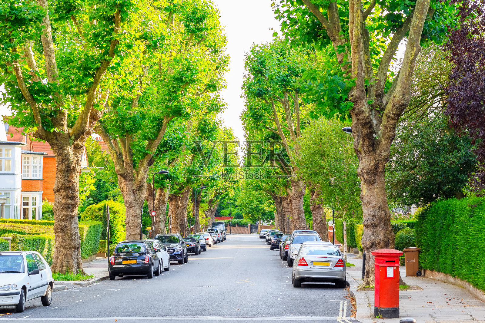 伦敦西汉普斯特德的街道两旁有树照片摄影图片