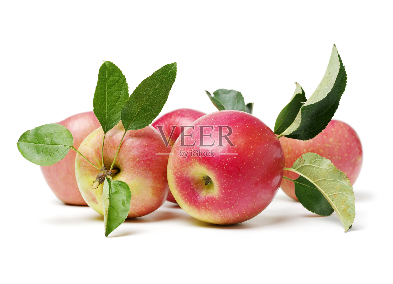 具茎和叶的苹果孤立在白色背景上照片摄影图片