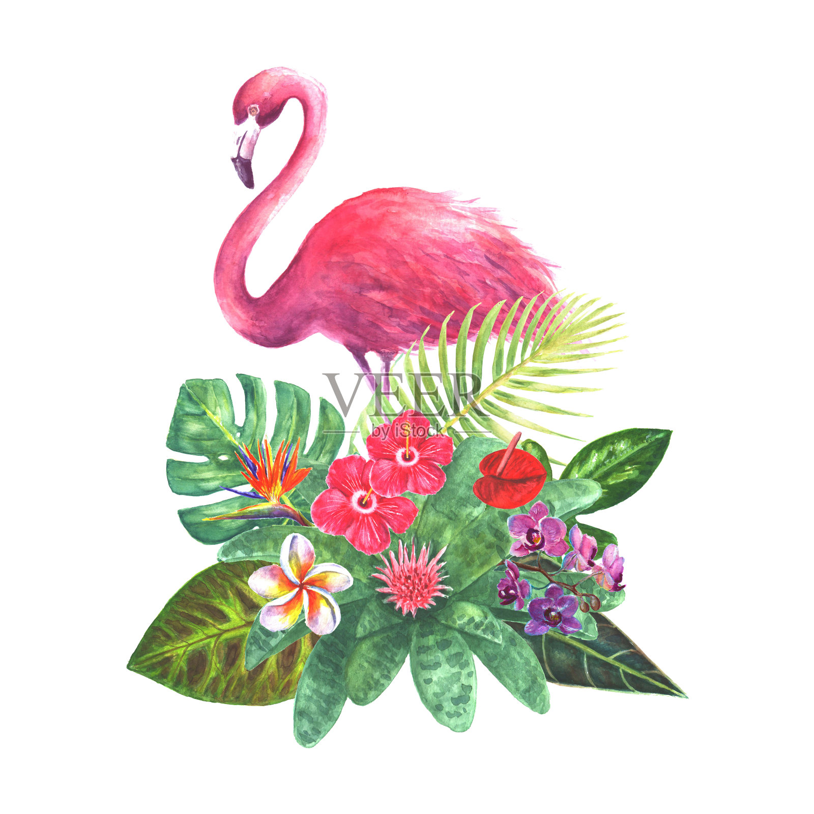 带有粉红色火烈鸟的异国花束插画图片素材