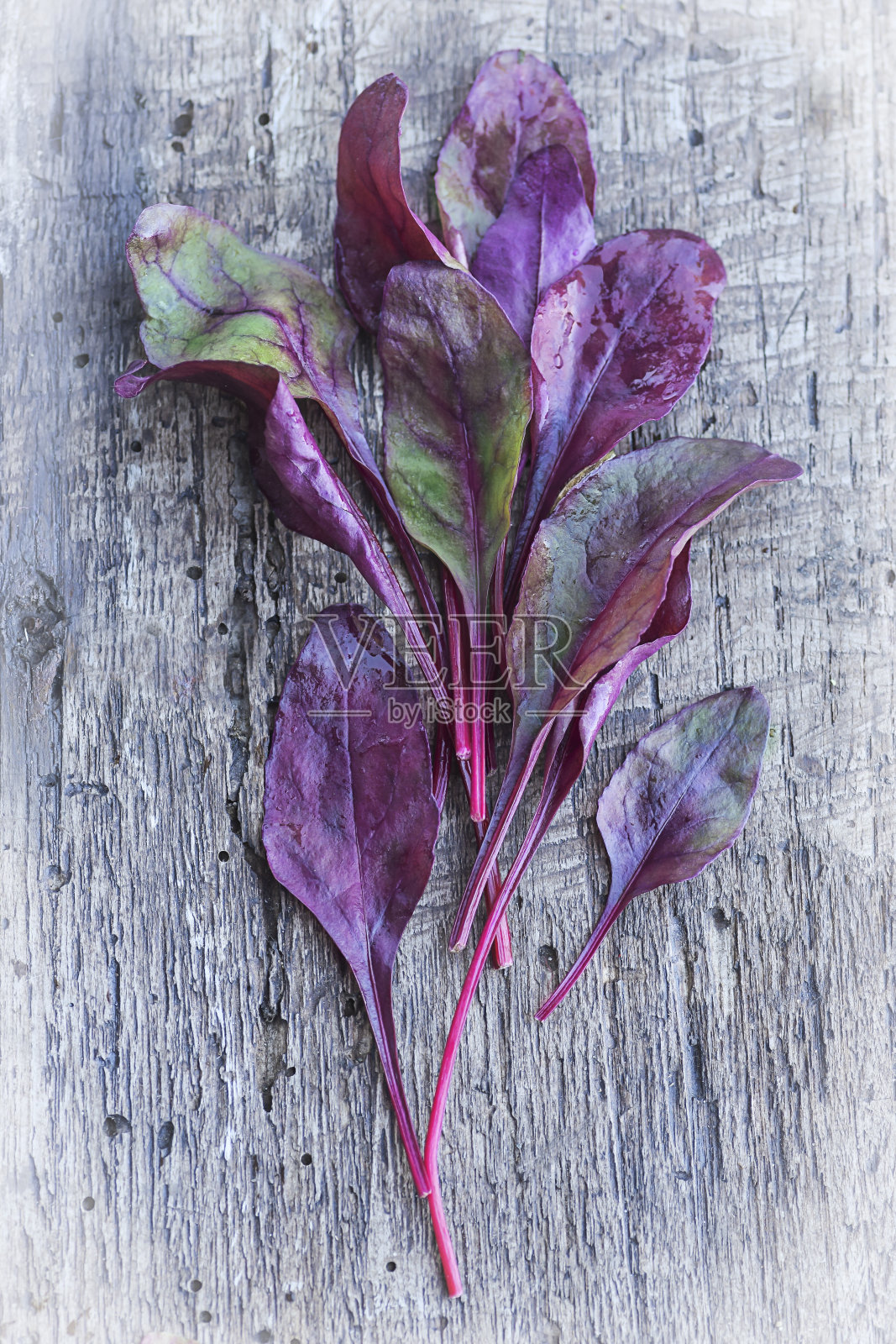 五颜六色的新鲜甜菜叶在乡村木质背景上。健康、绿色、素食的理念。照片摄影图片