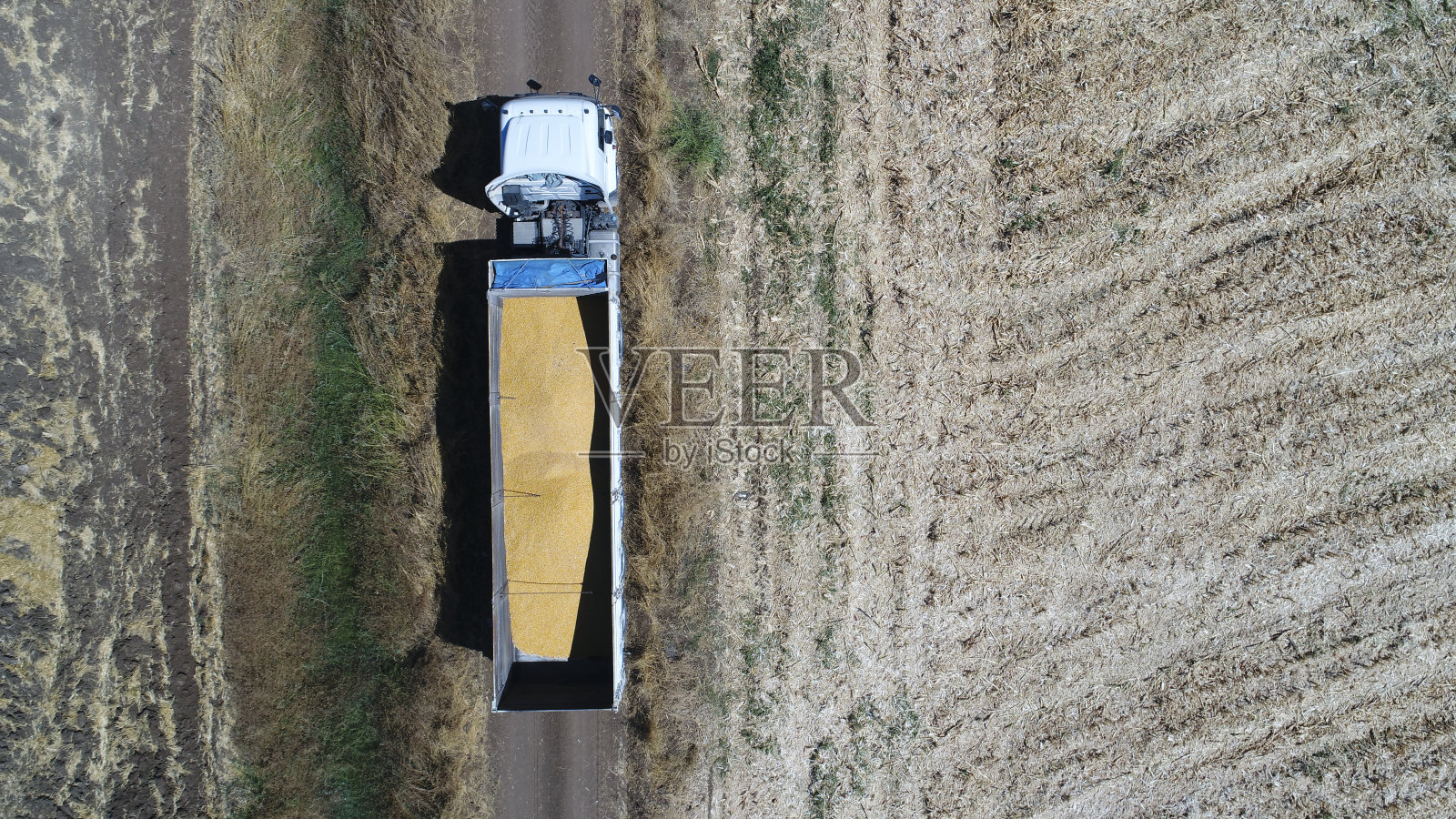 装载收获玉米的半挂车鸟瞰图照片摄影图片