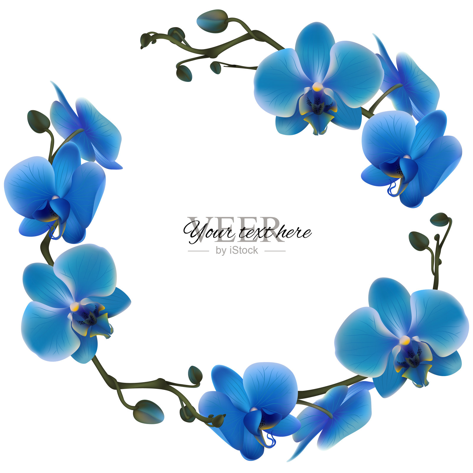蓝色的兰花。热带花卉。奇异的植物。框架。边境。矢量插图。插画图片素材