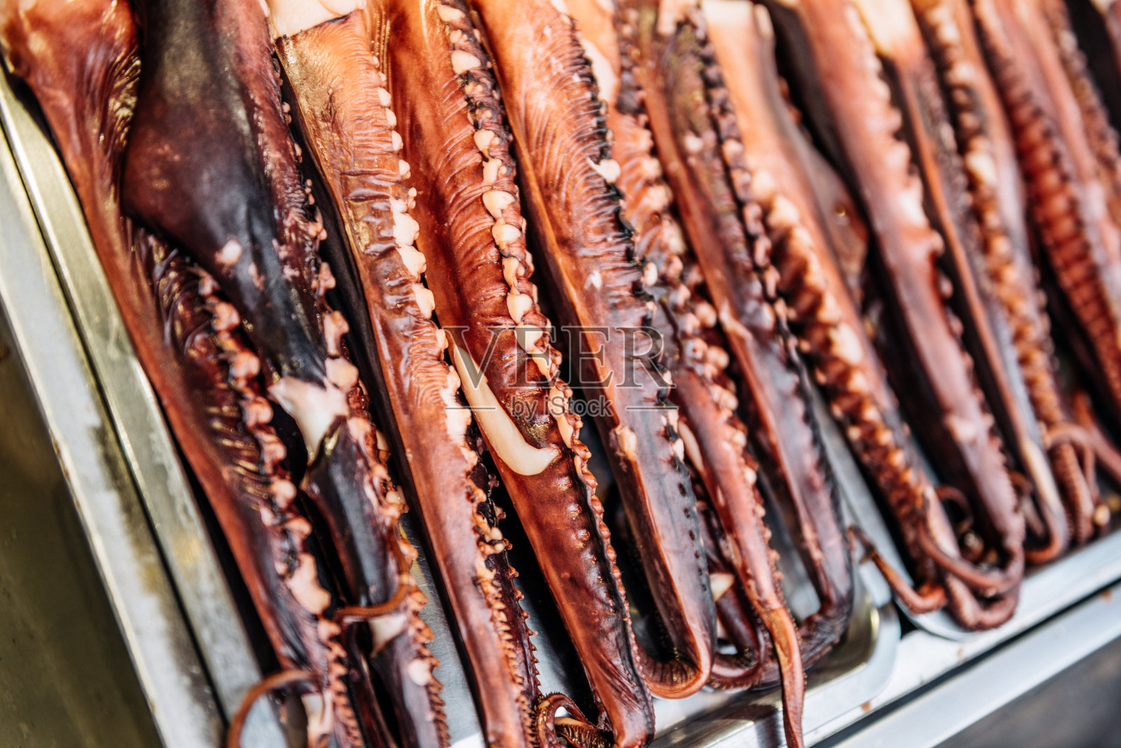 北京菜市场上的街头小吃——鱿鱼和章鱼照片摄影图片