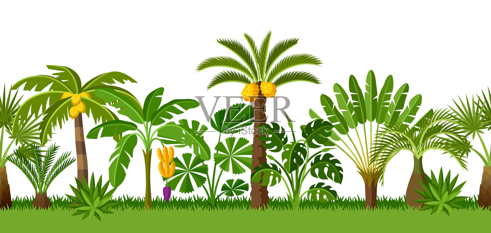 无缝模式与热带棕榈树。奇异的热带植物，丛林自然的插图插画图片素材